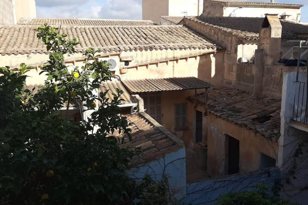 Appartement Houpla *
